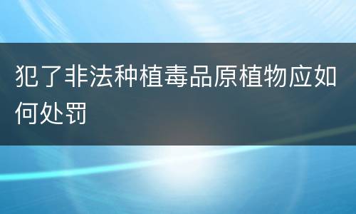 犯了非法种植毒品原植物应如何处罚