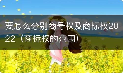 要怎么分别商号权及商标权2022（商标权的范围）