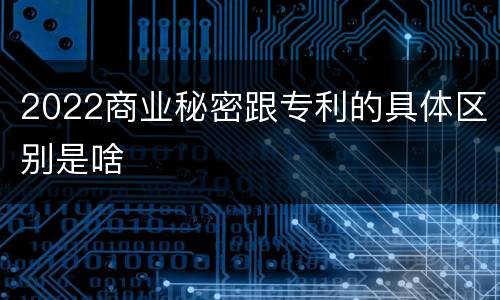 2022商业秘密跟专利的具体区别是啥