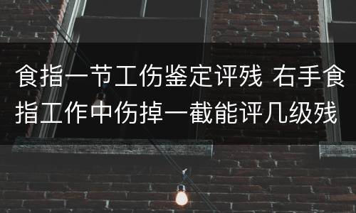 食指一节工伤鉴定评残 右手食指工作中伤掉一截能评几级残