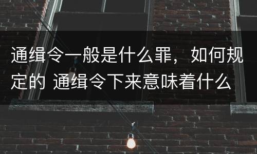 通缉令一般是什么罪，如何规定的 通缉令下来意味着什么