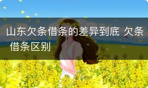 山东欠条借条的差异到底 欠条 借条区别