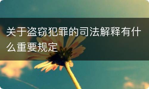 关于盗窃犯罪的司法解释有什么重要规定