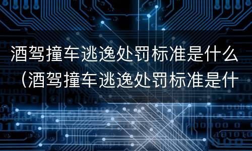 酒驾撞车逃逸处罚标准是什么（酒驾撞车逃逸处罚标准是什么意思）