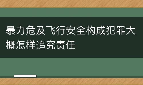 暴力危及飞行安全构成犯罪大概怎样追究责任