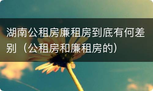 湖南公租房廉租房到底有何差别（公租房和廉租房的）