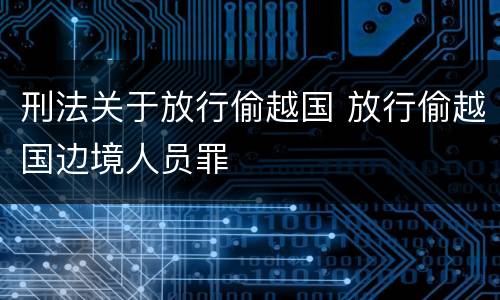 刑法关于放行偷越国 放行偷越国边境人员罪