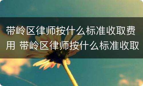 带岭区律师按什么标准收取费用 带岭区律师按什么标准收取费用的