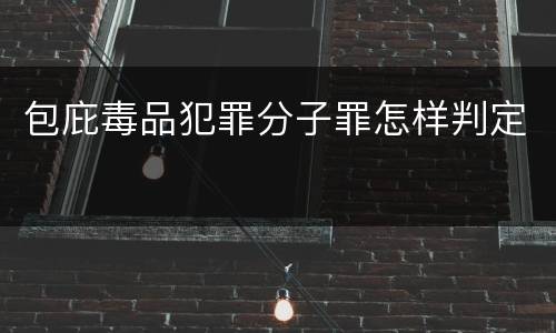 包庇毒品犯罪分子罪怎样判定