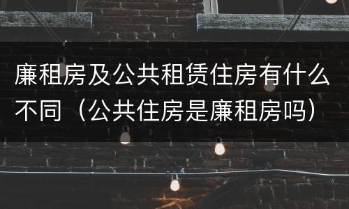 廉租房及公共租赁住房有什么不同（公共住房是廉租房吗）