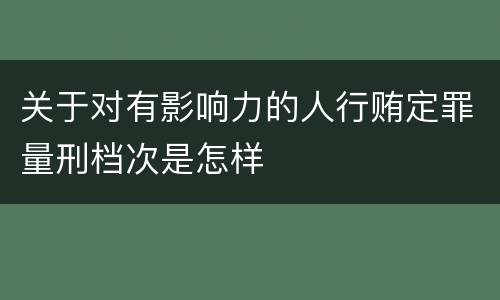 关于对有影响力的人行贿定罪量刑档次是怎样
