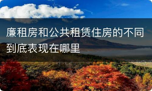 廉租房和公共租赁住房的不同到底表现在哪里