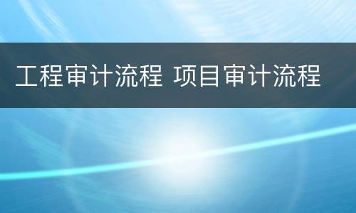 工程审计流程 项目审计流程