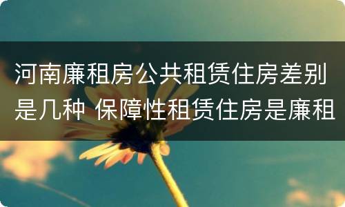河南廉租房公共租赁住房差别是几种 保障性租赁住房是廉租房吗