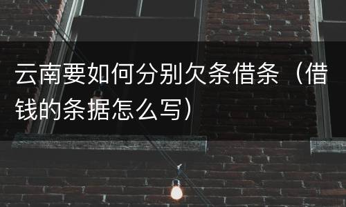 云南要如何分别欠条借条（借钱的条据怎么写）