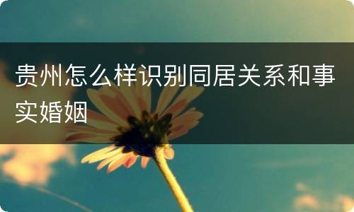 贵州怎么样识别同居关系和事实婚姻