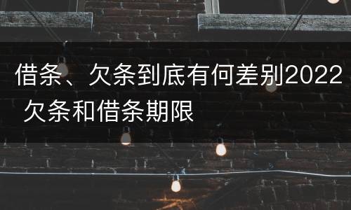 借条、欠条到底有何差别2022 欠条和借条期限