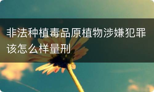 非法种植毒品原植物涉嫌犯罪该怎么样量刑
