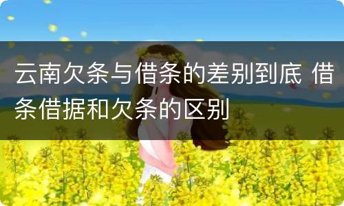 云南欠条与借条的差别到底 借条借据和欠条的区别