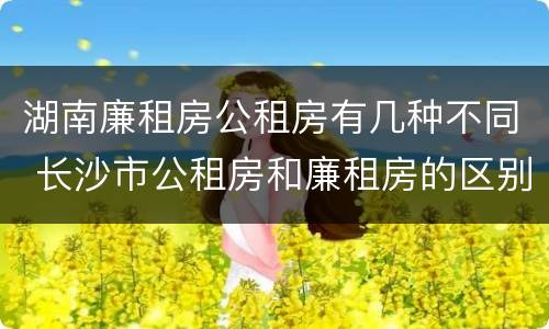 湖南廉租房公租房有几种不同 长沙市公租房和廉租房的区别