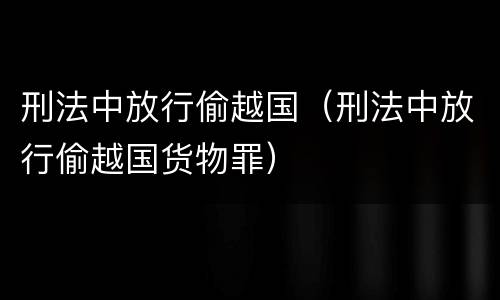 刑法中放行偷越国（刑法中放行偷越国货物罪）