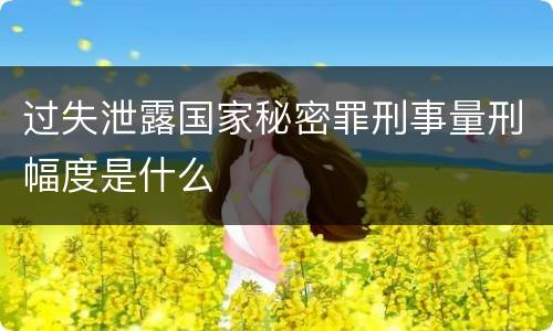 过失泄露国家秘密罪刑事量刑幅度是什么