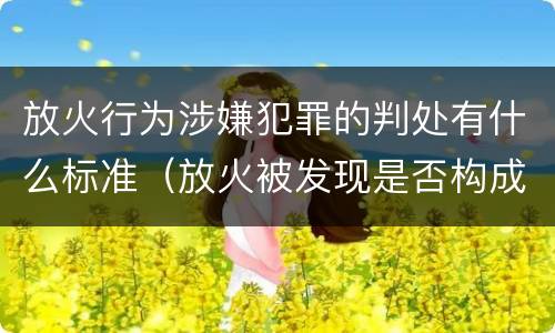 放火行为涉嫌犯罪的判处有什么标准（放火被发现是否构成放火罪）