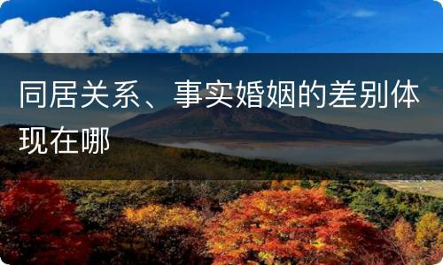 同居关系、事实婚姻的差别体现在哪