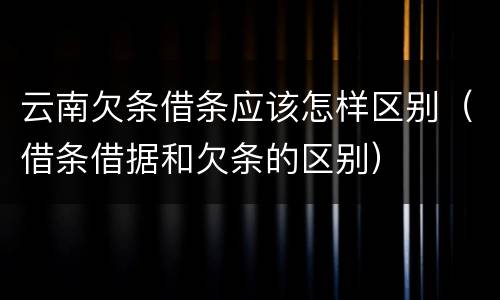 云南欠条借条应该怎样区别（借条借据和欠条的区别）