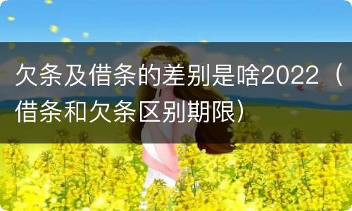 欠条及借条的差别是啥2022（借条和欠条区别期限）