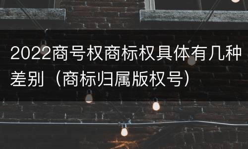 2022商号权商标权具体有几种差别（商标归属版权号）