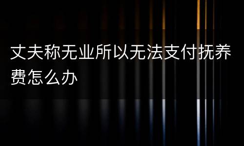 丈夫称无业所以无法支付抚养费怎么办