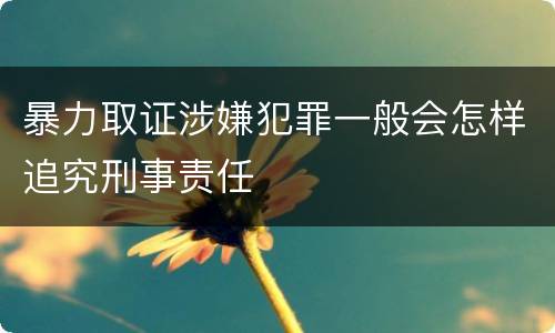 暴力取证涉嫌犯罪一般会怎样追究刑事责任
