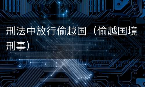 刑法中放行偷越国（偷越国境刑事）