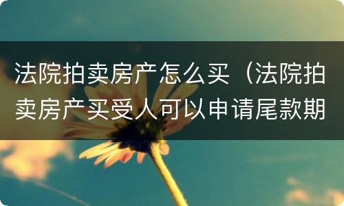 法院拍卖房产怎么买（法院拍卖房产买受人可以申请尾款期限）