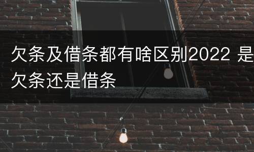 欠条及借条都有啥区别2022 是欠条还是借条