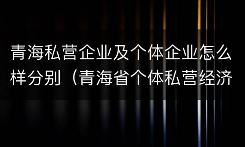青海私营企业及个体企业怎么样分别（青海省个体私营经济协会）