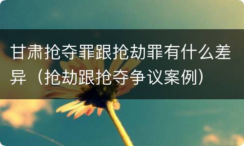 甘肃抢夺罪跟抢劫罪有什么差异（抢劫跟抢夺争议案例）