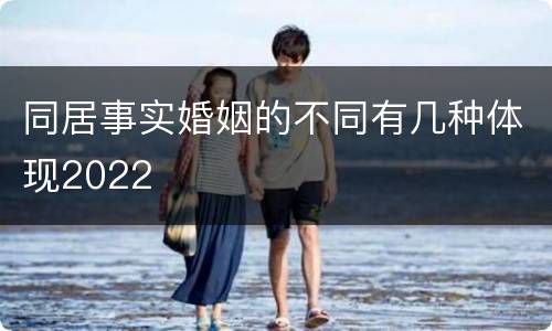 同居事实婚姻的不同有几种体现2022