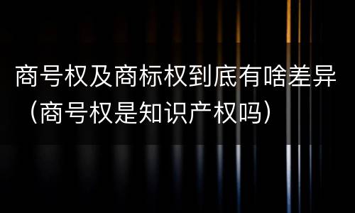 商号权及商标权到底有啥差异（商号权是知识产权吗）
