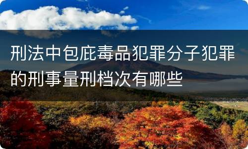 刑法中包庇毒品犯罪分子犯罪的刑事量刑档次有哪些