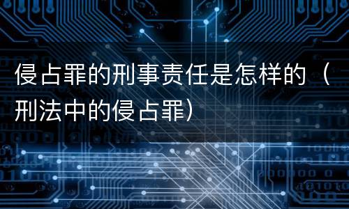 侵占罪的刑事责任是怎样的（刑法中的侵占罪）