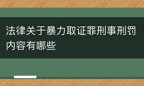 法律关于暴力取证罪刑事刑罚内容有哪些
