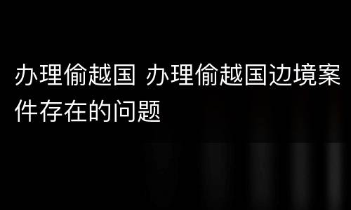 办理偷越国 办理偷越国边境案件存在的问题