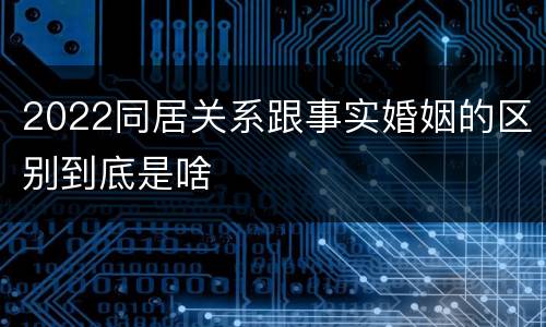 2022同居关系跟事实婚姻的区别到底是啥
