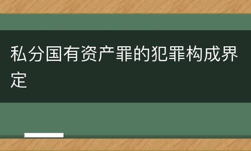 私分国有资产罪的犯罪构成界定