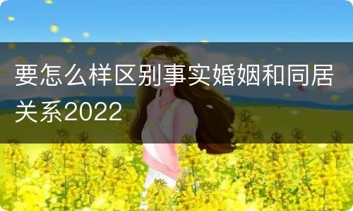 要怎么样区别事实婚姻和同居关系2022