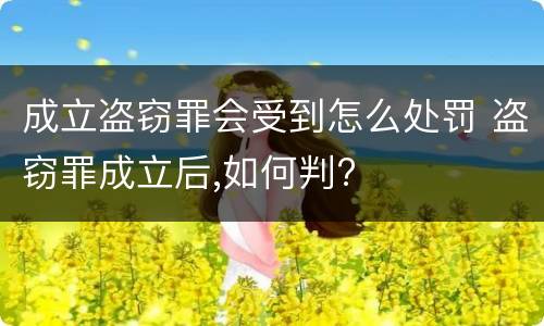 成立盗窃罪会受到怎么处罚 盗窃罪成立后,如何判?