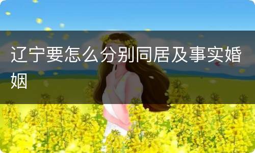 辽宁要怎么分别同居及事实婚姻