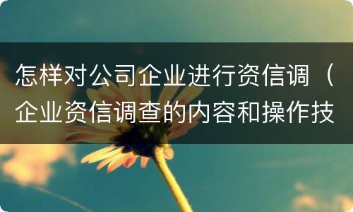 怎样对公司企业进行资信调（企业资信调查的内容和操作技巧）